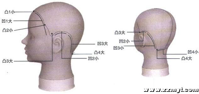 发型师设计中头骨骼的特征3.jpg