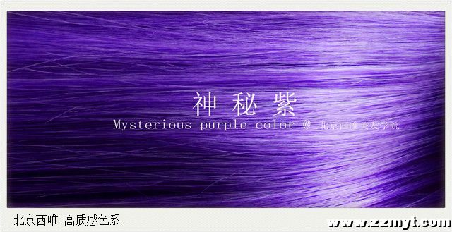 西唯  高质感色系 - 神秘紫.jpg